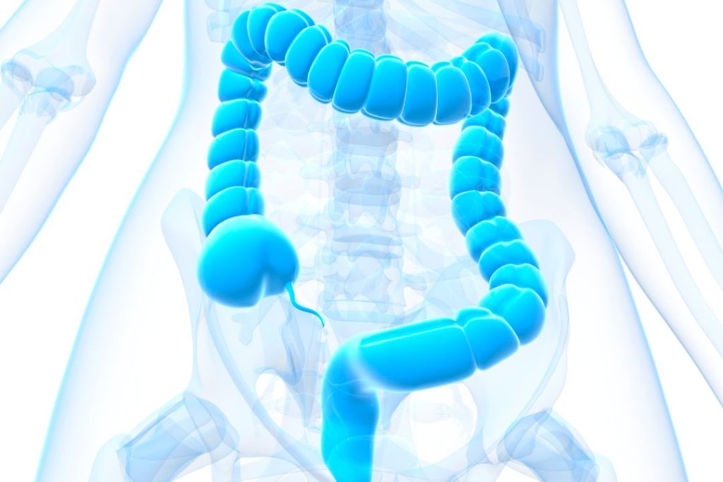 Citrato de Magnesio Para qué sirve Aumenta el agua en tu intestino3