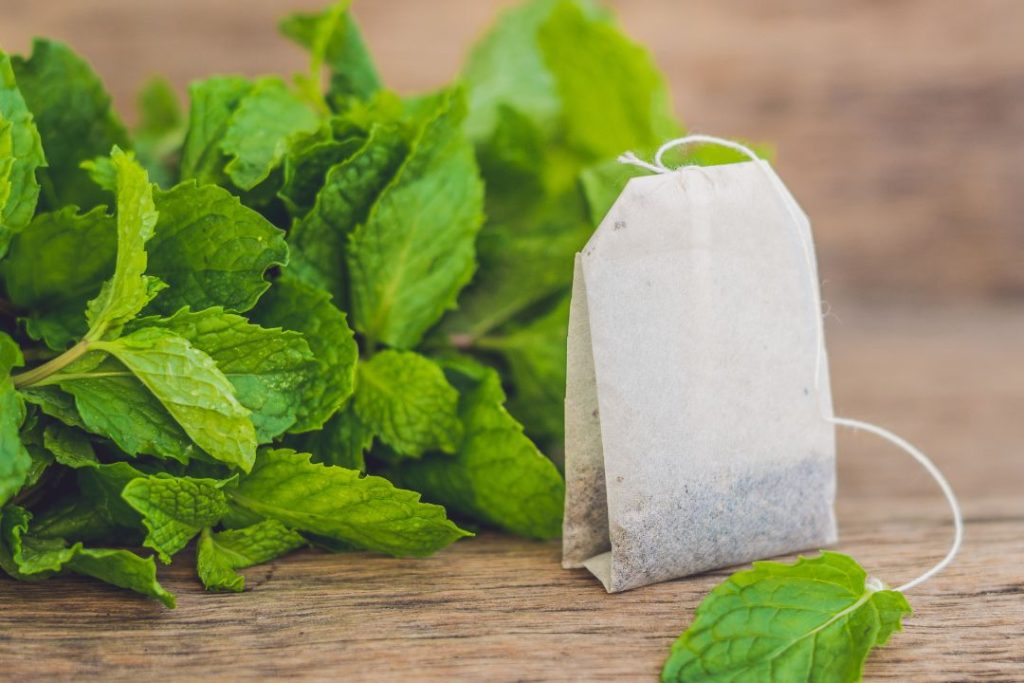 ​Té de menta: ¿para qué sirve?