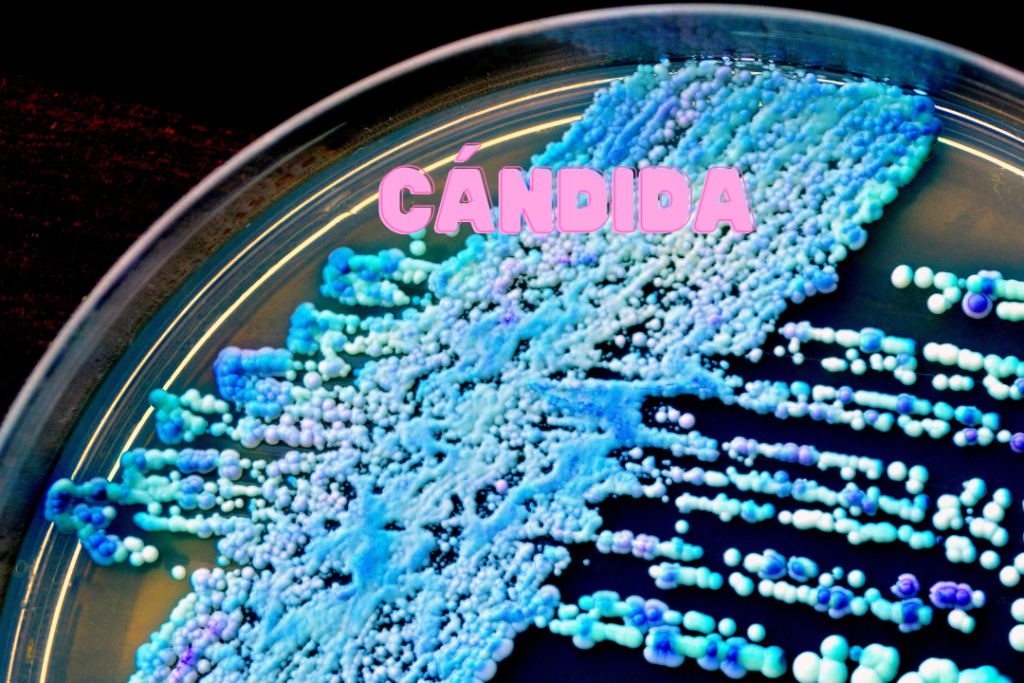 CANDIDA