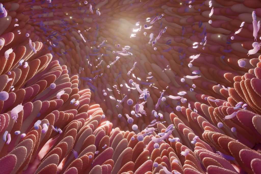 Enterogermina en Panamá Protege tu flora intestinal
