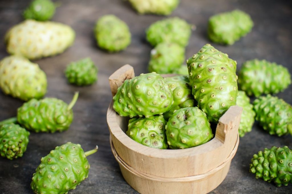 Noni Beneficios y enfermedades que cura