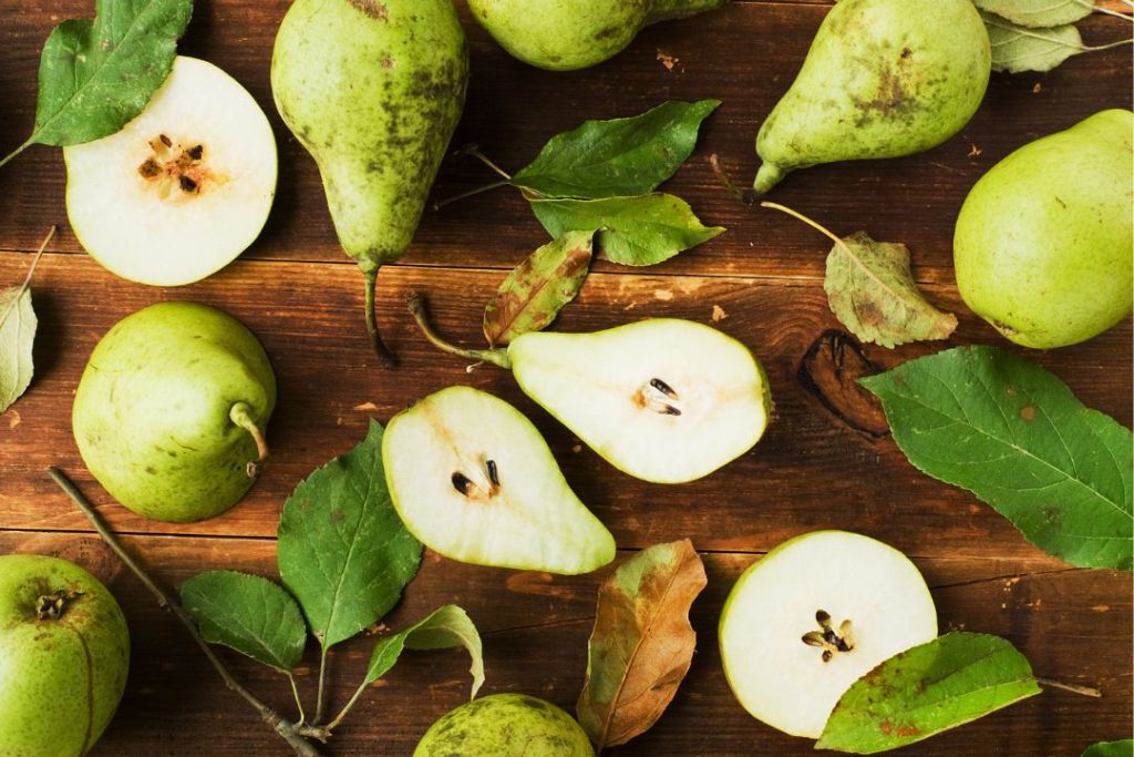 Dieta para hemorroides 