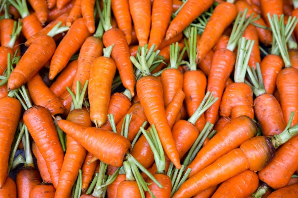 Dieta para hemorroides 